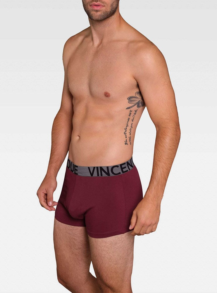 SOUS-VÊTEMENTS POUR HOMMES